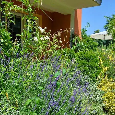 Thermen Gabriela Bad Krozingen