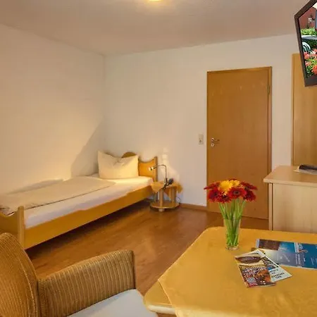 Thermen Gabriela Apartment Bad Krozingen