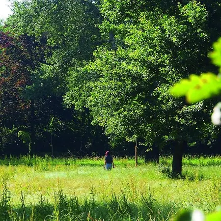 Thermen Gabriela Bad Krozingen