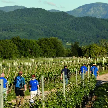 Thermen Gabriela Apartment Bad Krozingen