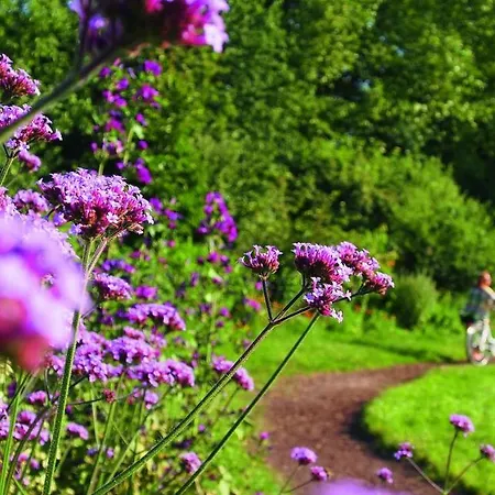 Apartment Thermen Gabriela Bad Krozingen